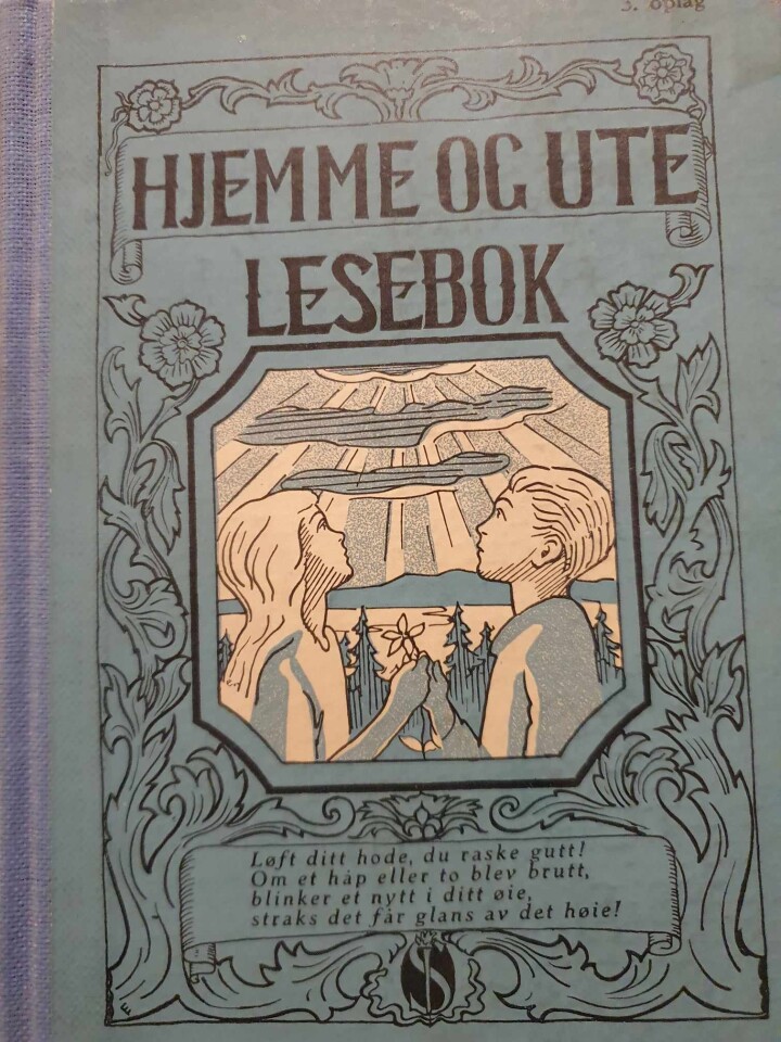 Hjemme og ute lesebok VI