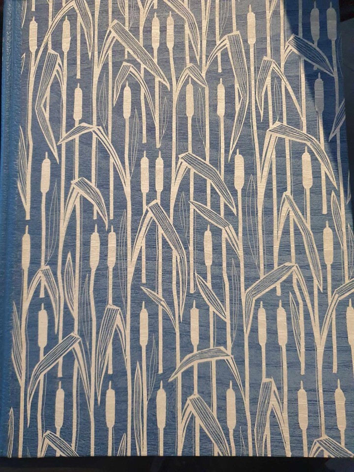 Nordisk malerkunst