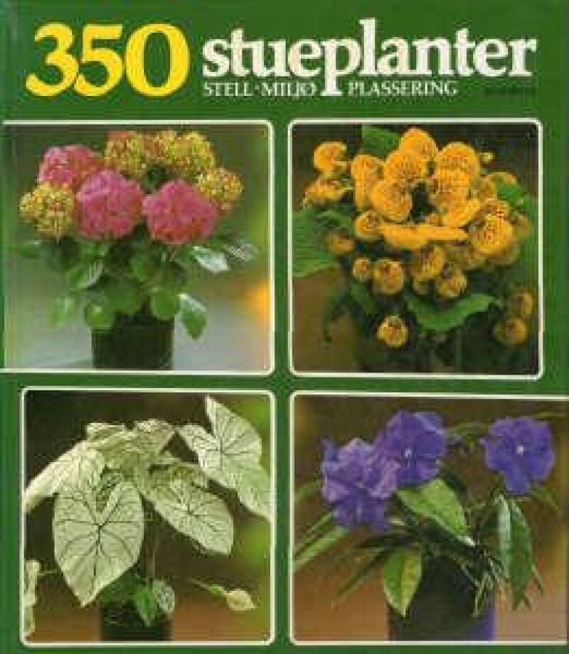 350 stueplanter. Stell, miljø, plassering