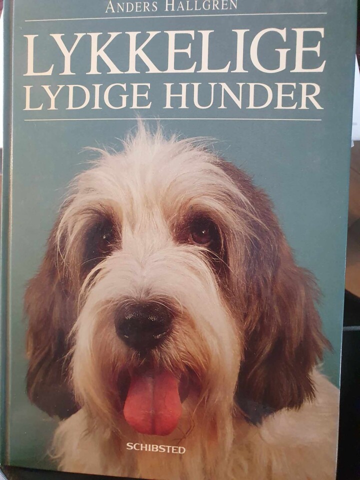 Lykkelige lydige hunder
