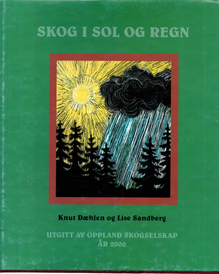 Skog i sol og regn