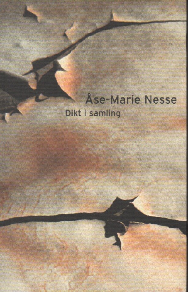 Dikt i samling – Åse-Marie Nesse
