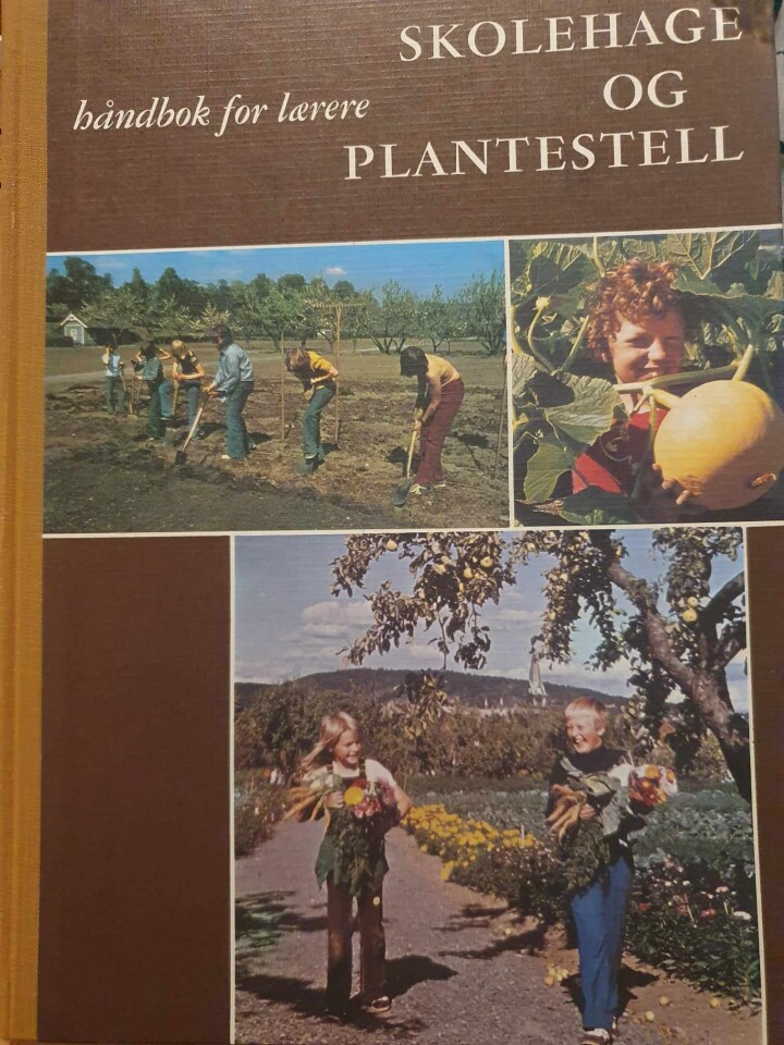 Skolehage og plantestell