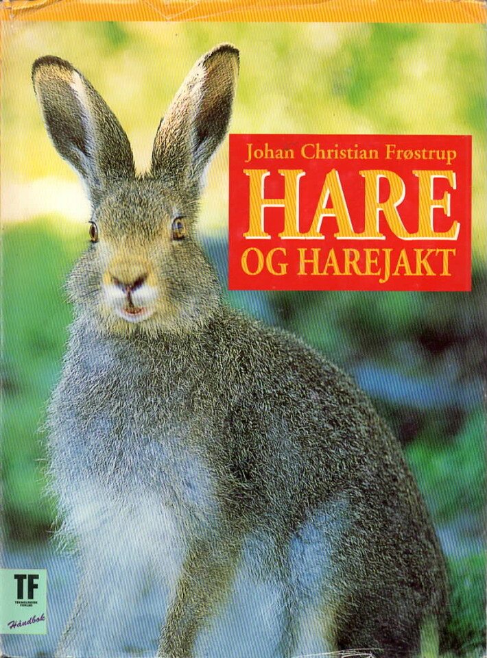 Hare og harejakt