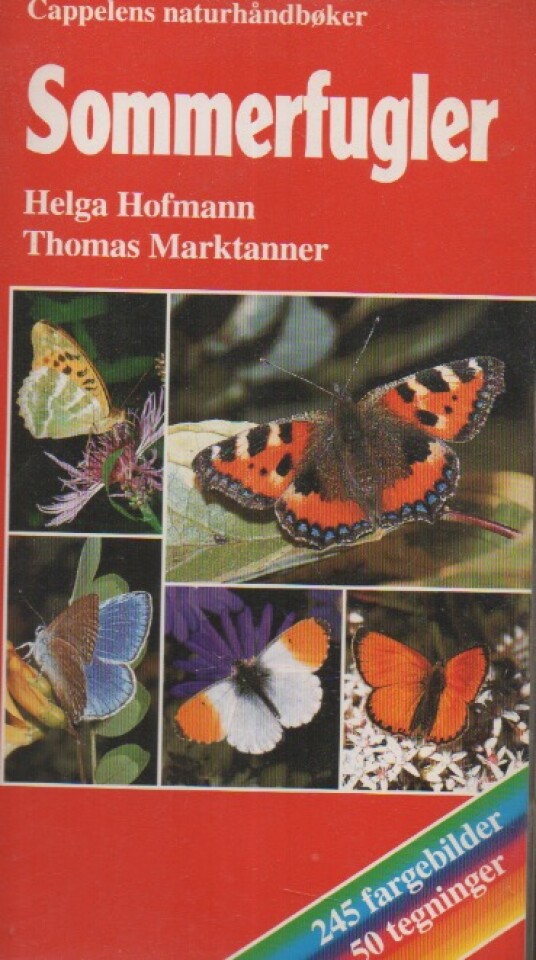 Sommerfugler