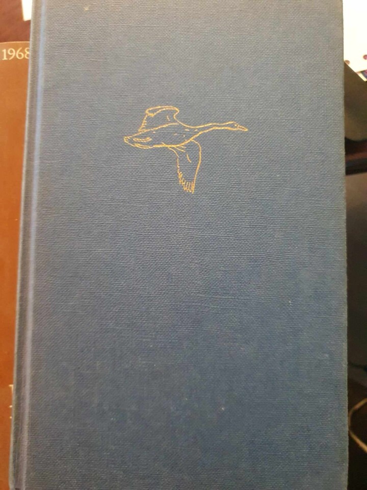 Det fløy en fugl – på fotojakt i skog og mark