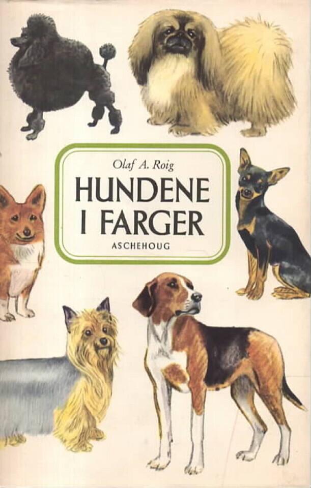 Hundene i farger