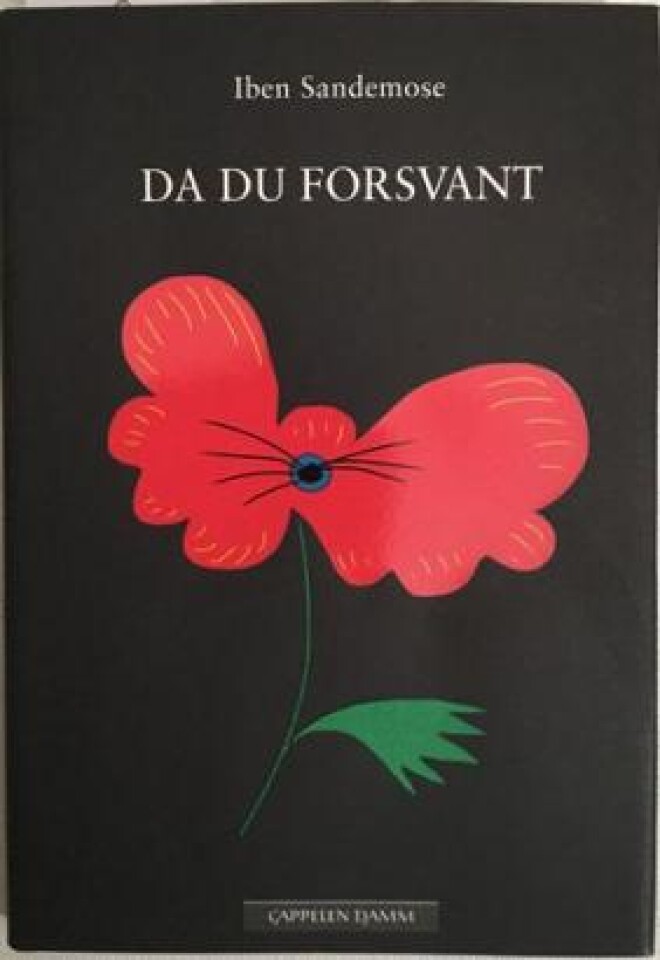 Da du forsvant