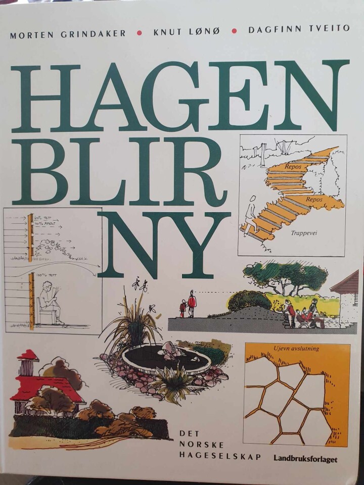 Hagen blir ny