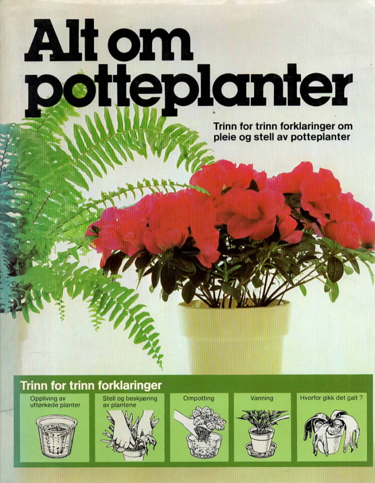 Alt om potteplanter – Trinn for trinn forklaringer om pleie og stell av potteplanter