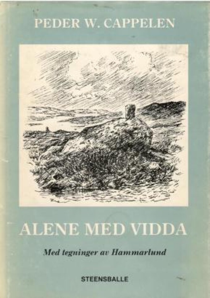 Alene med vidda