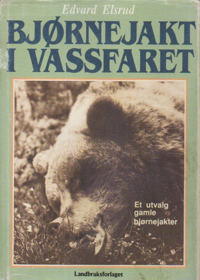 Bjørnejakt i vassfaret