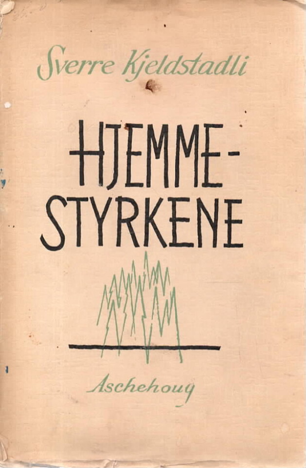 Hjemmestyrkene