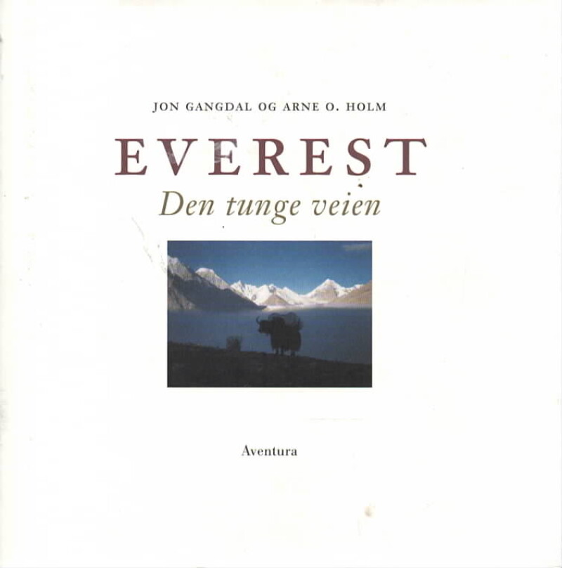 Everest – Den tunge veien