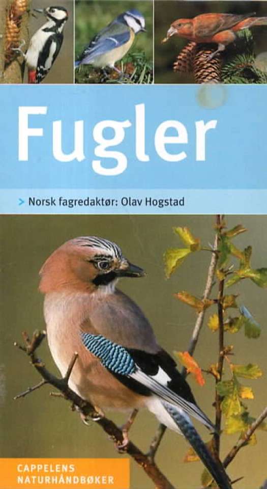 Fugler