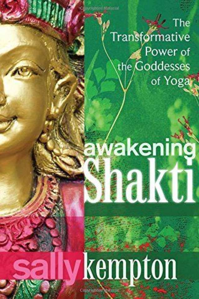 Awakening Shakti