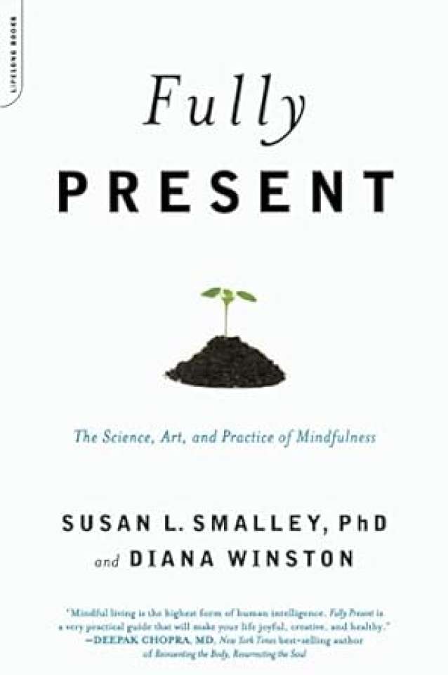 Fully Present: The Science, Art, and Practice of Mindfulness: The Science, Art, and Practice of Mindfulness