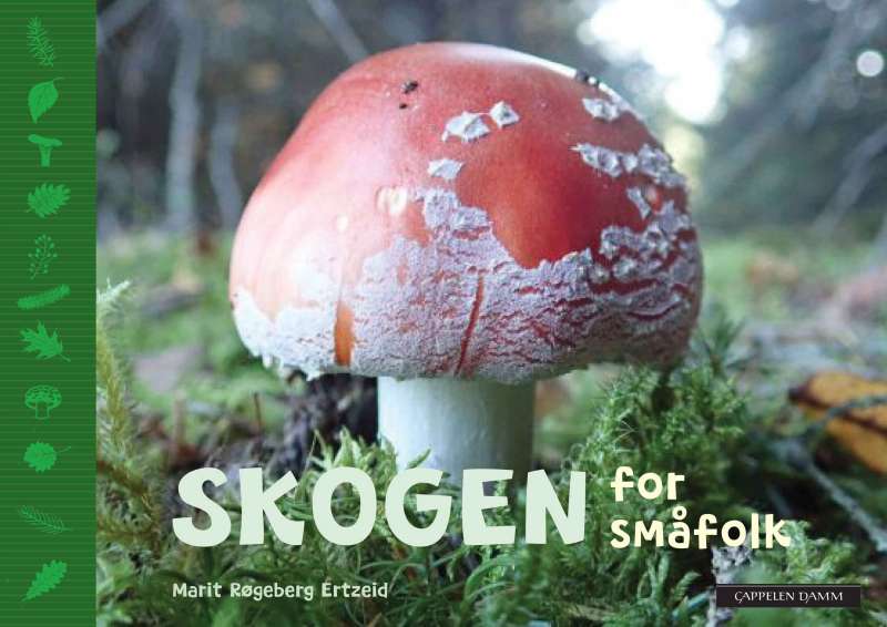 Skogen for småfolk