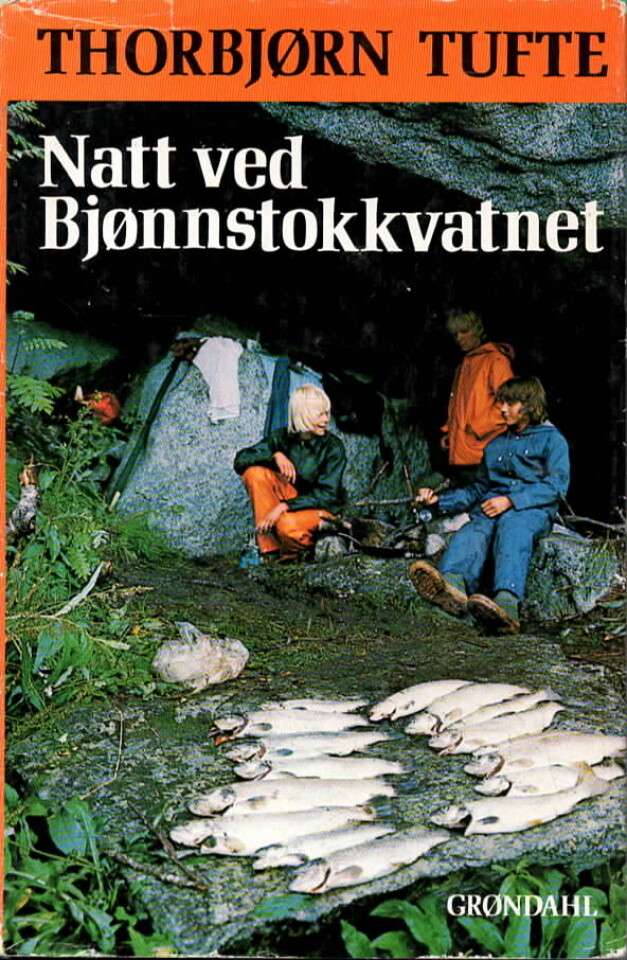 Natt ved Bjønnstokkvatnet