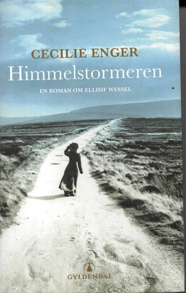 Himmelstormeren – En roman om Ellisif Wessel