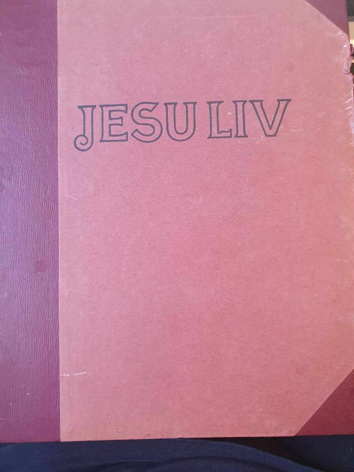 Jesu liv