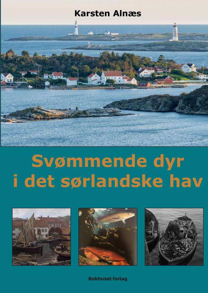 Svømmende dyr i det sørlandske hav