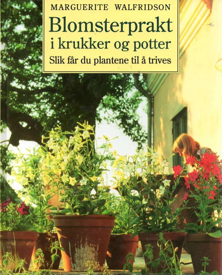 Blomsterprakt i krukker og potter – Slik får du plantene til å trives