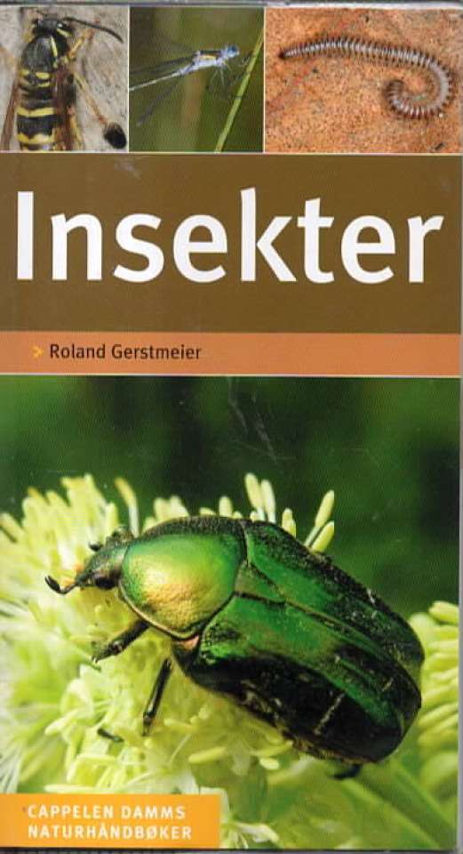 Insekter 