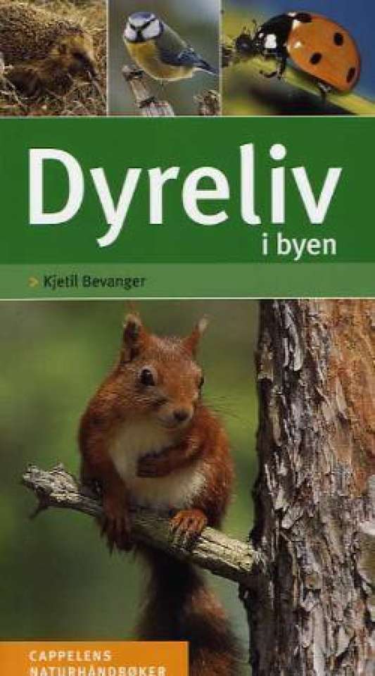 Dyreliv i byen – Cappelens naturhåndbøker