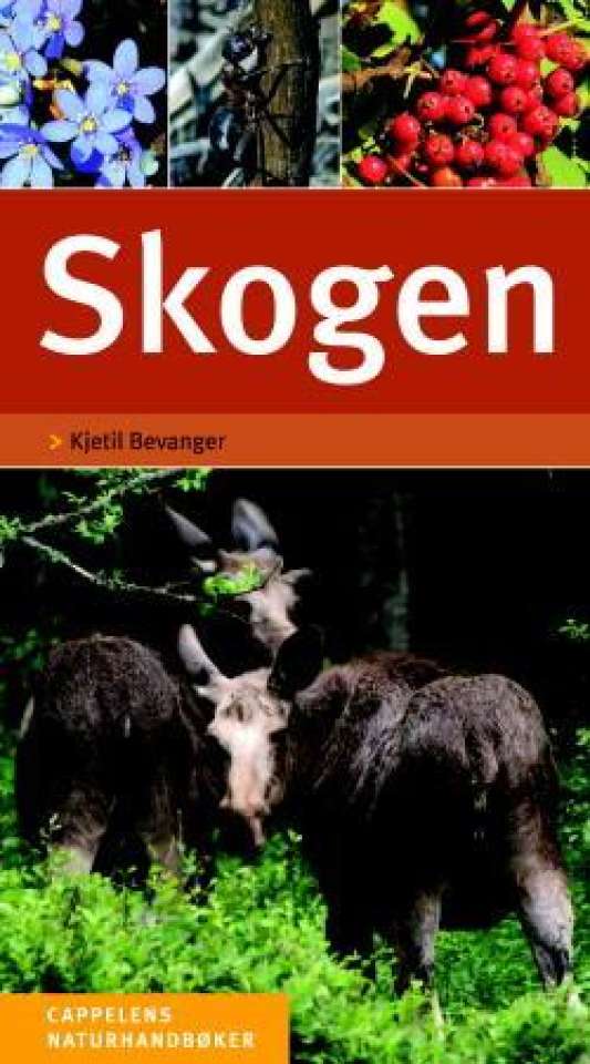 Skogen