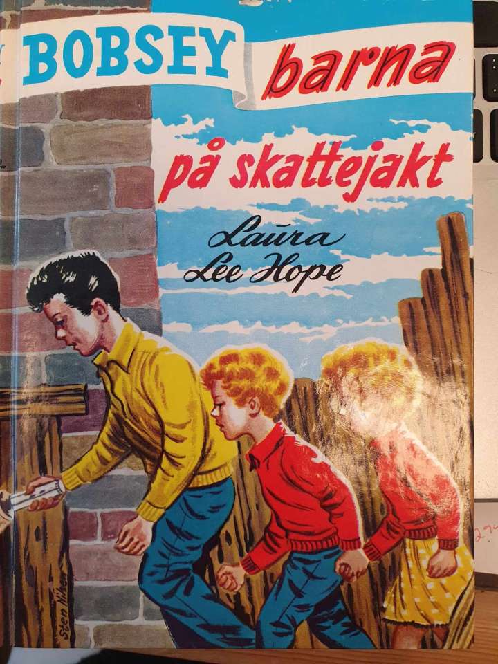 Bobsey-barna på skattejakt