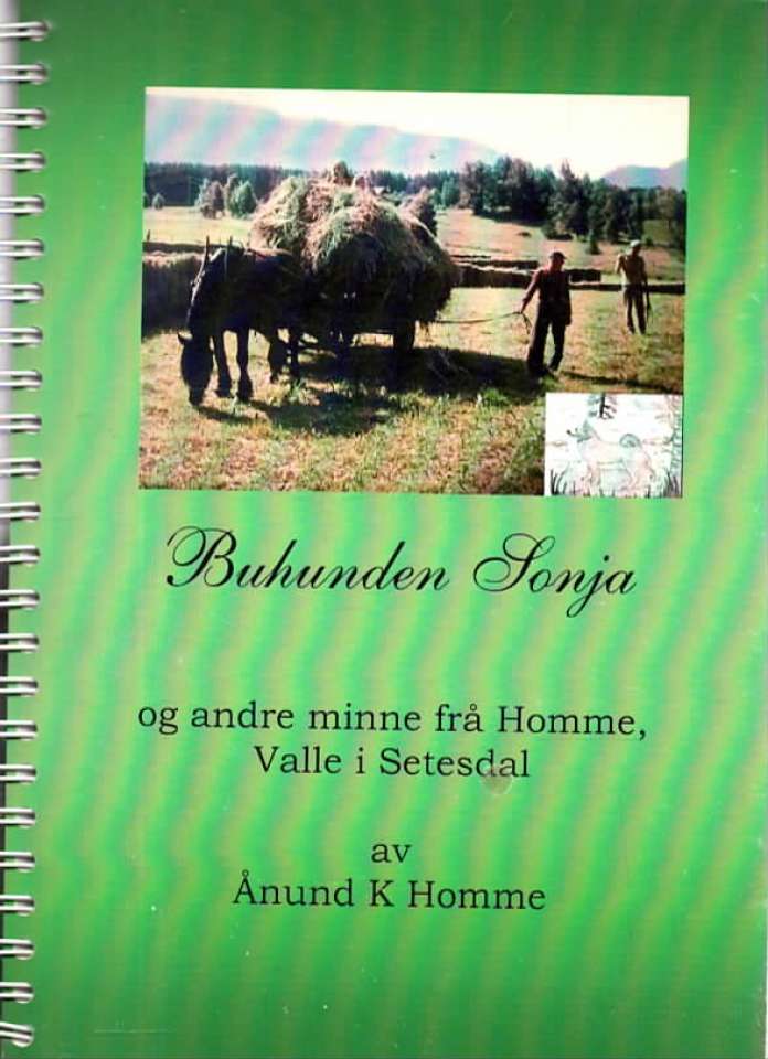 Buhunden Sonja og andre minne fra Homme, Valle i Setesdal