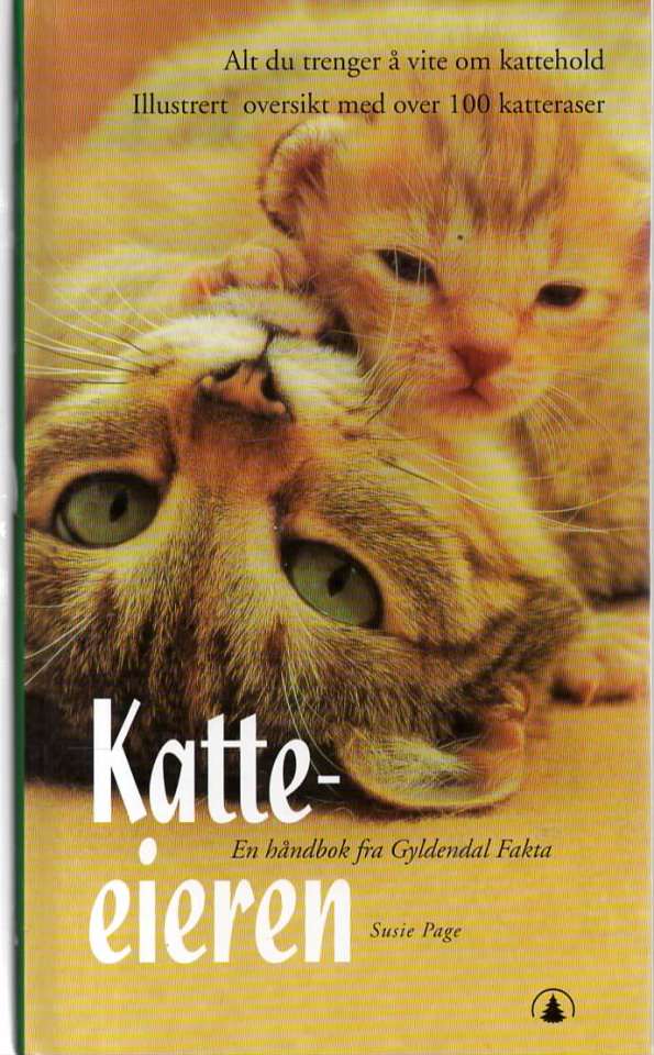 Katte-eieren – Alt du trenger å vite om kattehold
