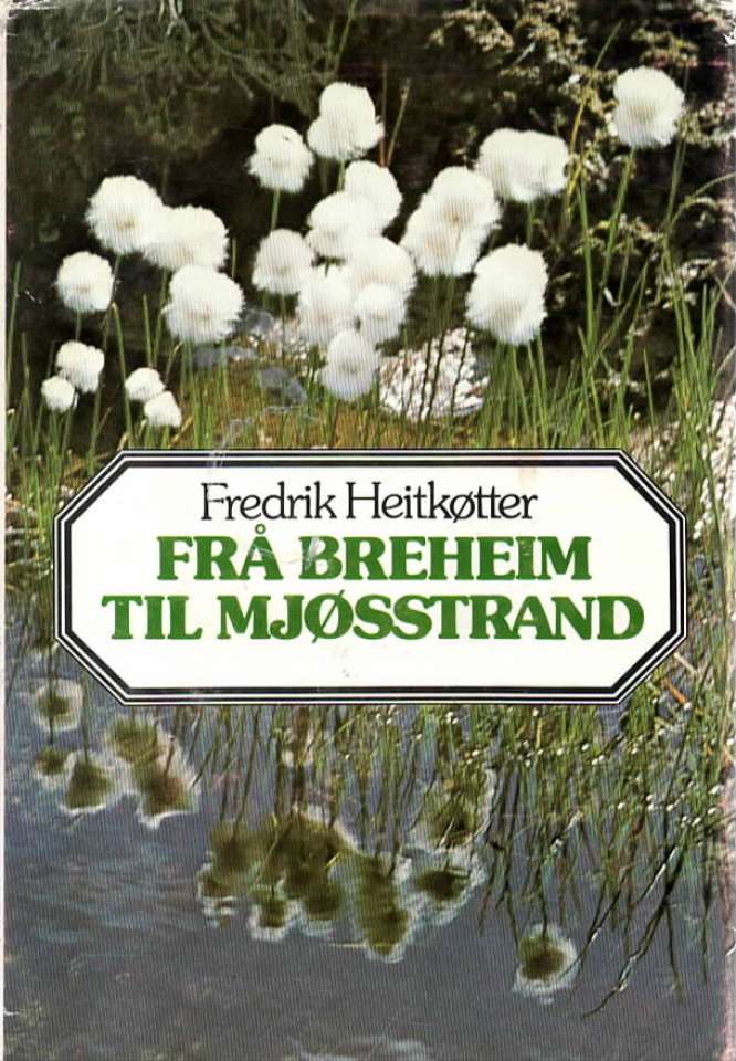 Fra Breheim til Mjøsstrand