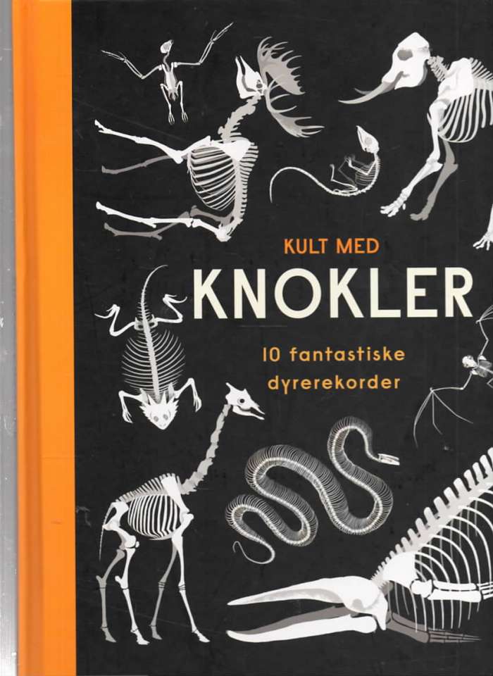 Kult med knokler – 10 fantastiske dyrerekorder