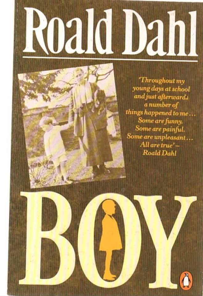 Boy – Roald Dahl