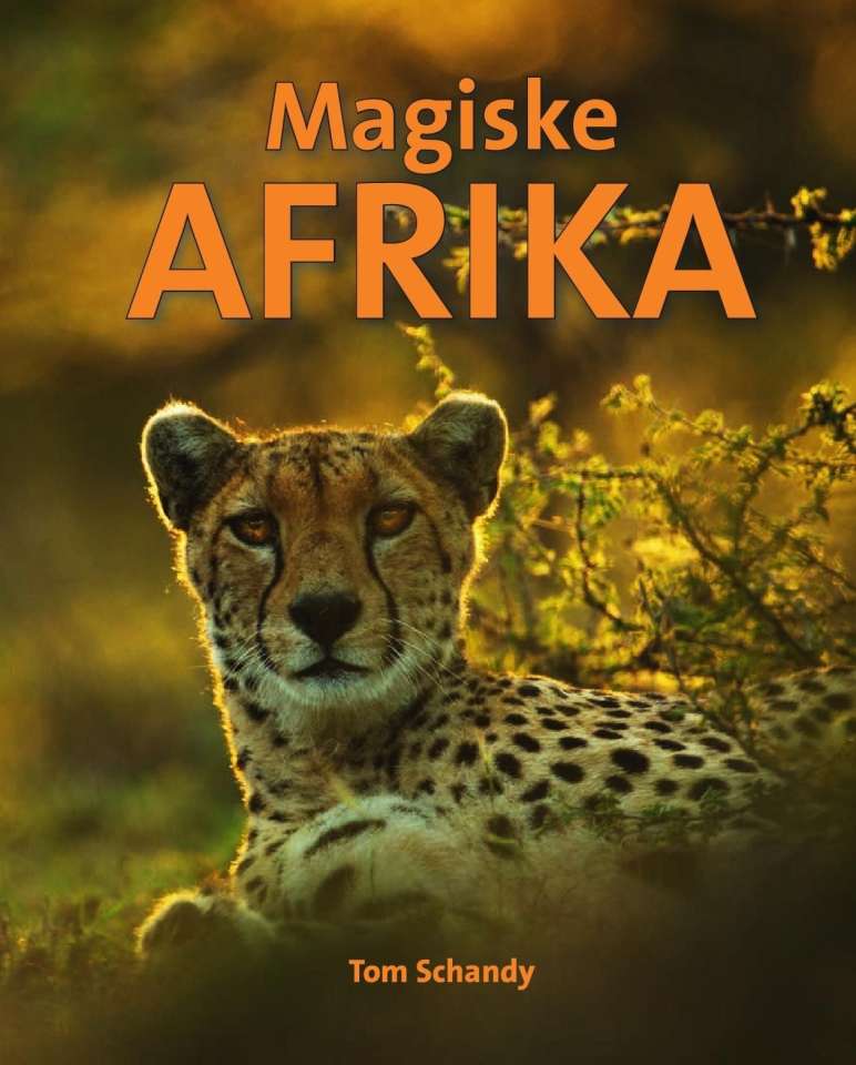 Magiske AFRIKA