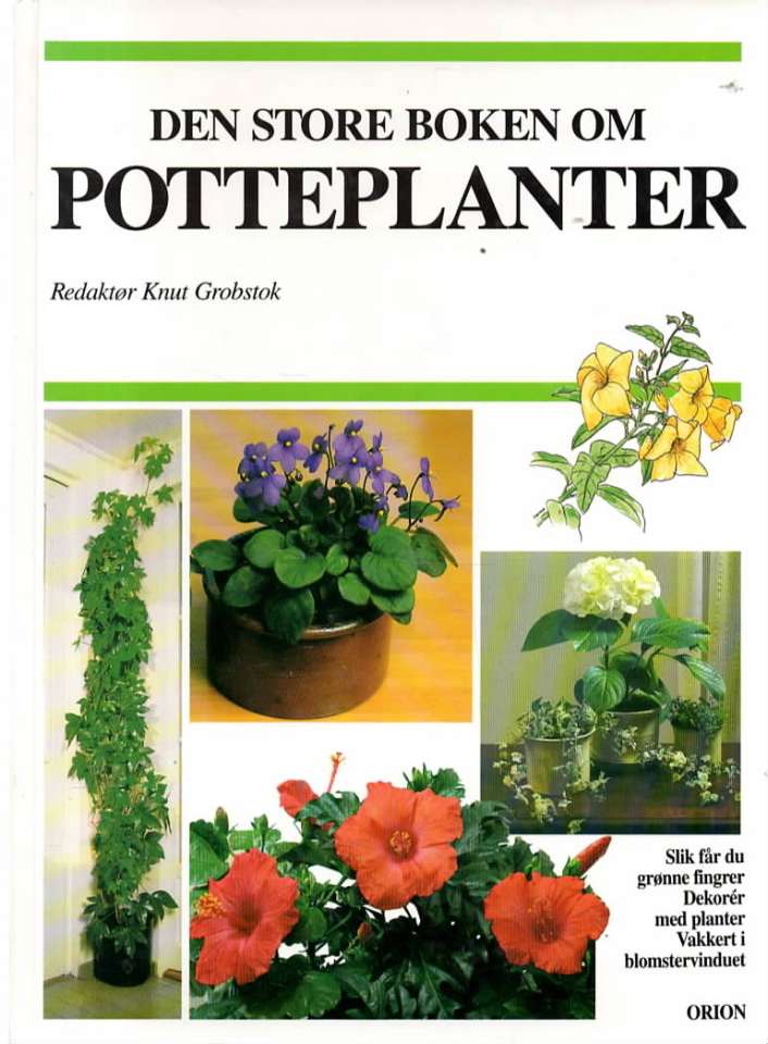 Den store boken om potteplanter