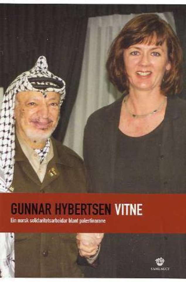 Vitne - ein norsk solidaritetsarbeidar blant palestinarane
