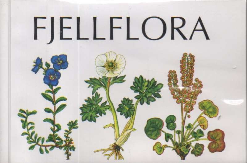 Fjellflora