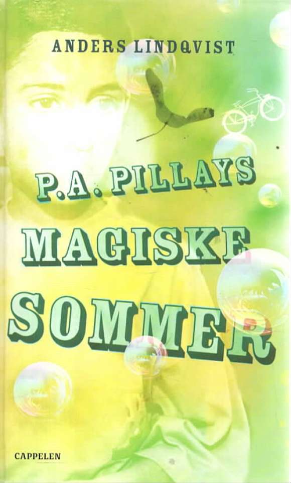 P. A. Pillays magiske sommer