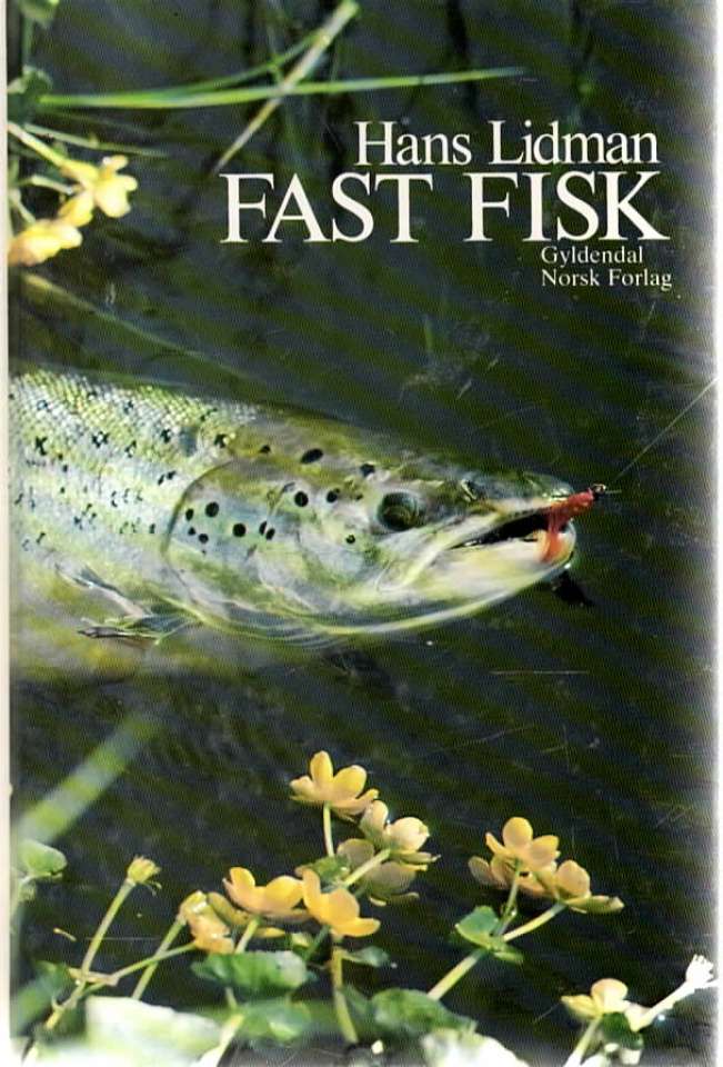 Fast Fiske
