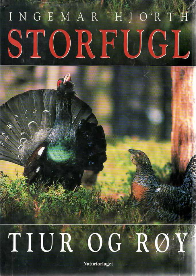 Storfugl - Tiur og Røy