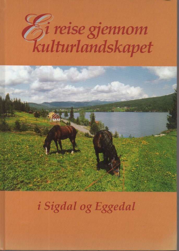 Ei reise gjennom kulturlandskapet i Sigdal og Eggedal
