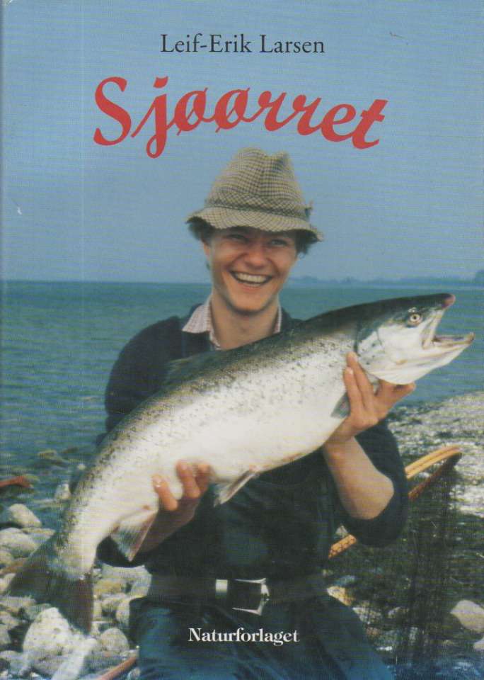 Sjøørret