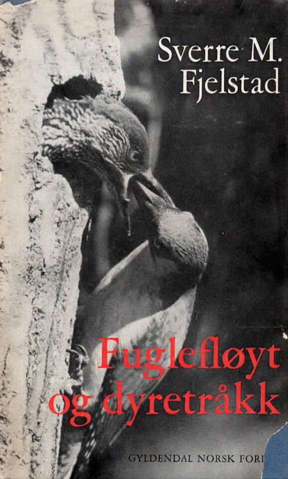 Fuglefløyt og dyretråkk