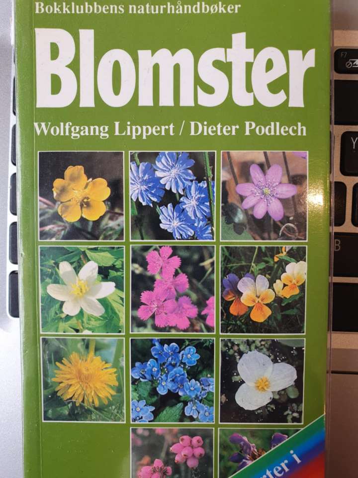 Blomster – 415 arter i farger