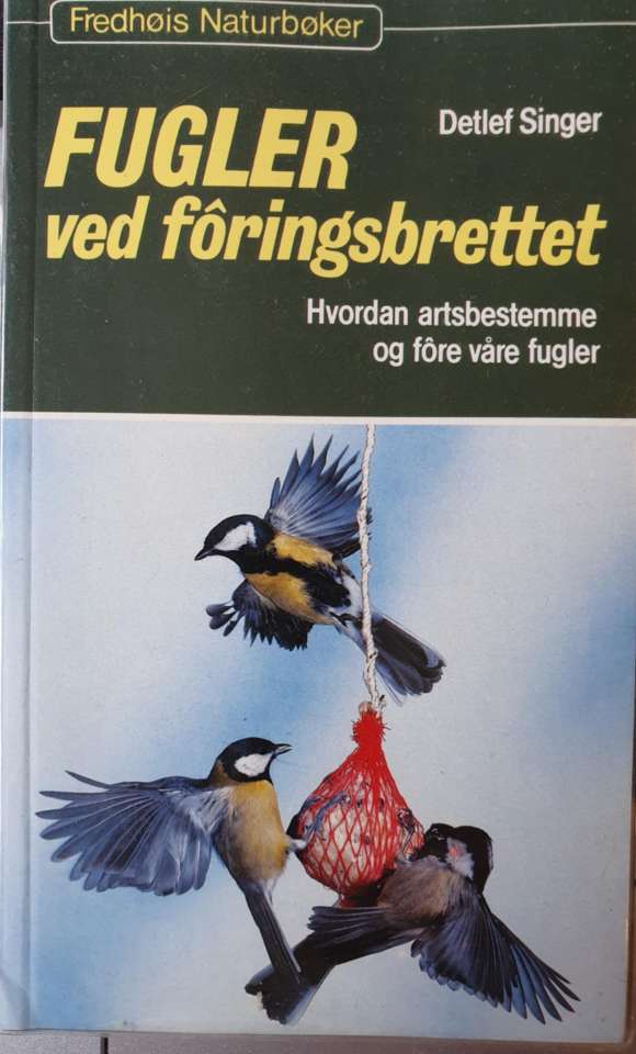 Fugler ved fôringsbrettet