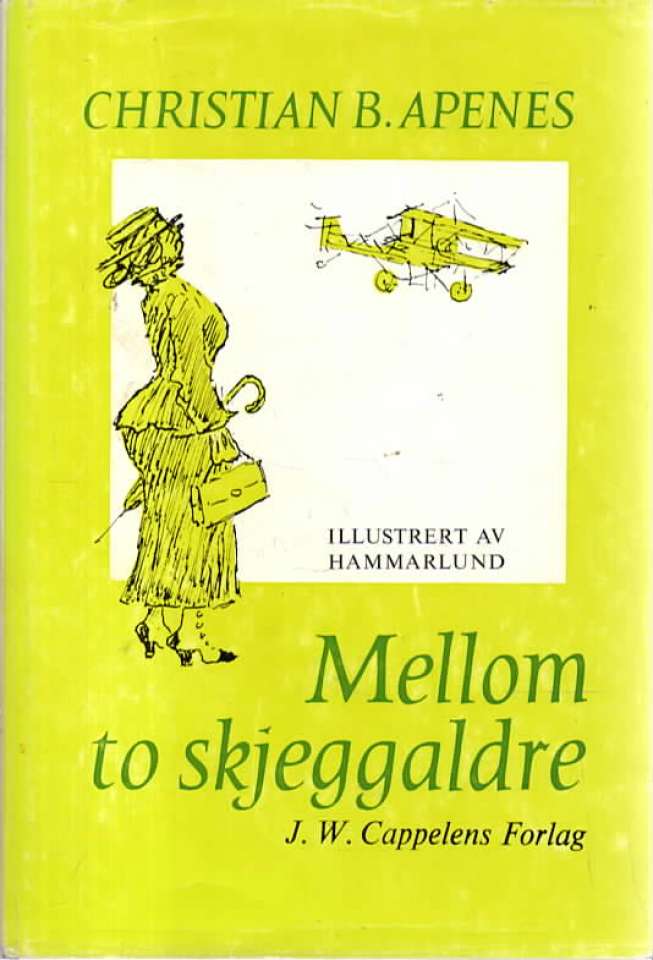 Mellom to skjeggaldre
