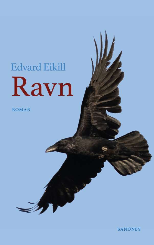 Ravn